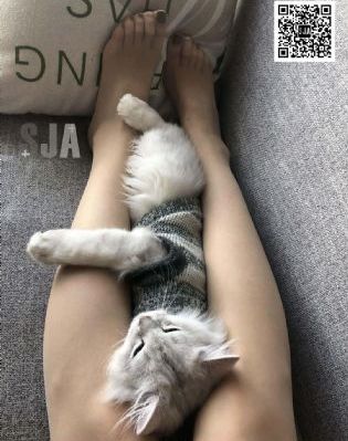 91精品全国免费观看老司机_免费观看完整版下载